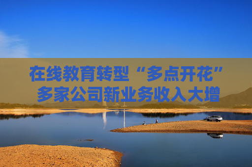 在线教育转型“多点开花” 多家公司新业务收入大增
