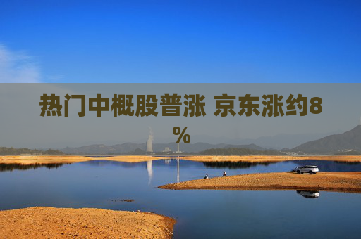 热门中概股普涨 京东涨约8%