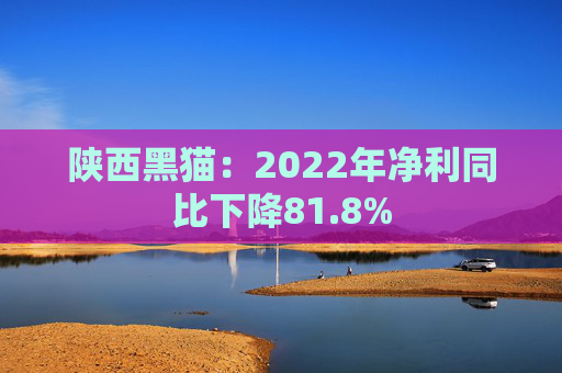 陕西黑猫：2022年净利同比下降81.8%