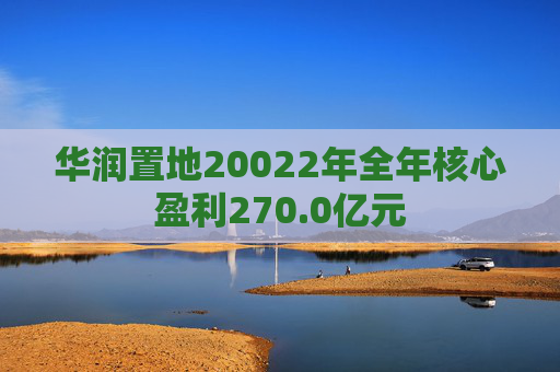 华润置地20022年全年核心盈利270.0亿元