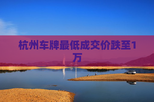 杭州车牌最低成交价跌至1万