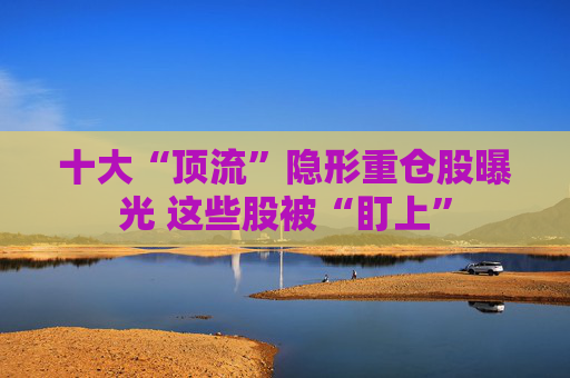 十大“顶流”隐形重仓股曝光 这些股被“盯上”