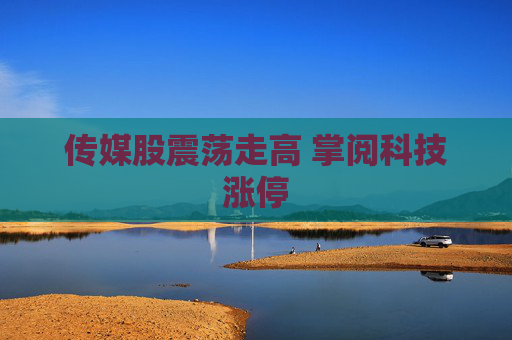 传媒股震荡走高 掌阅科技涨停