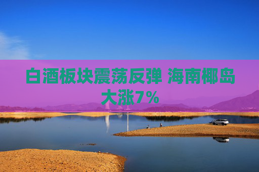 白酒板块震荡反弹 海南椰岛大涨7%