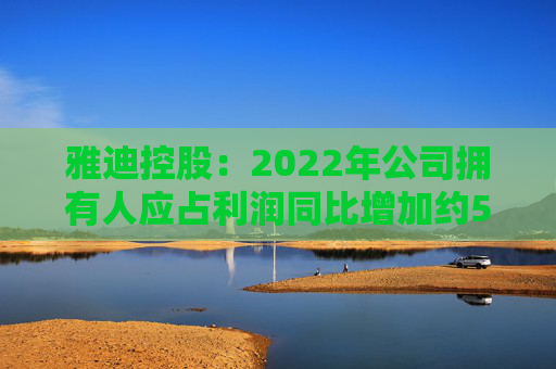 雅迪控股:2022年公司拥有人应占利润同比增加约57.8%