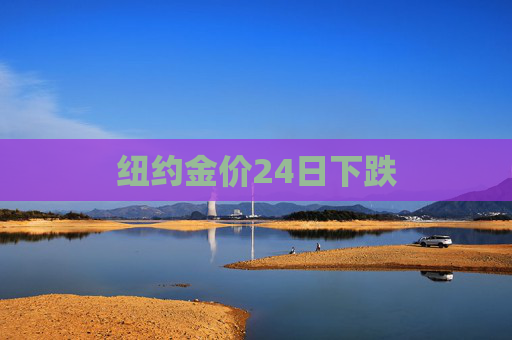 纽约金价24日下跌