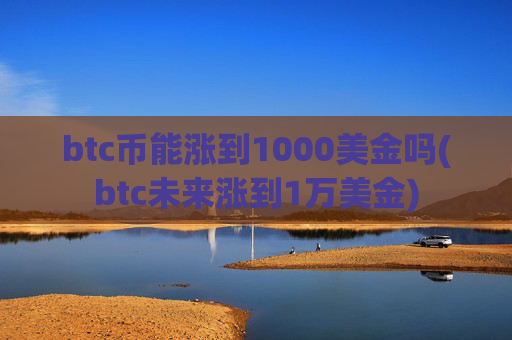 btc币能涨到1000美金吗(btc未来涨到1万美金)