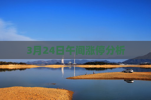 3月24日午间涨停分析