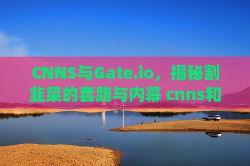 CNNS与Gate.io，揭秘割韭菜的套路与内幕 cnns和gate.io是怎样割韭菜的