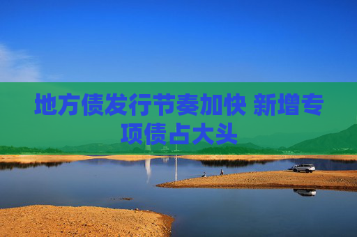 地方债发行节奏加快 新增专项债占大头