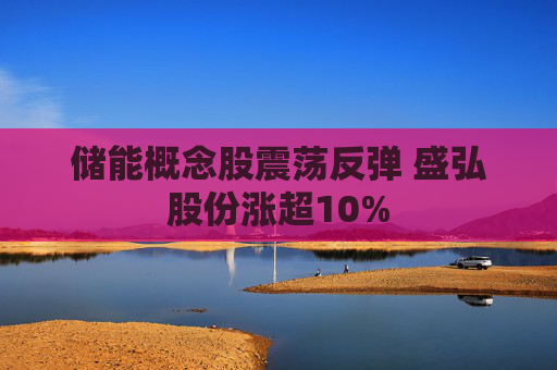 储能概念股震荡反弹 盛弘股份涨超10%