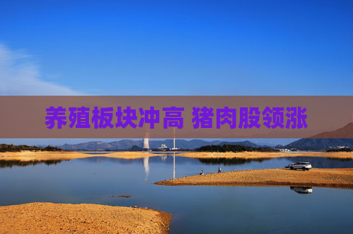 养殖板块冲高 猪肉股领涨