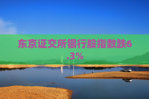 东京证交所银行股指数跌6.3%