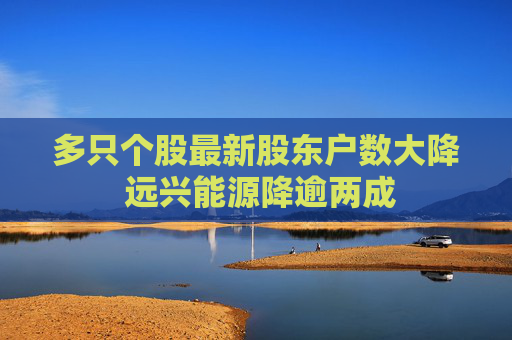 多只个股最新股东户数大降 远兴能源降逾两成