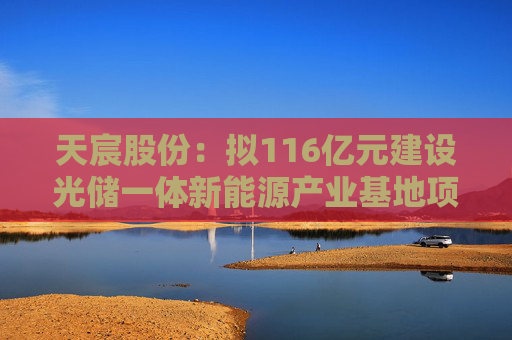 天宸股份：拟116亿元建设光储一体新能源产业基地项目