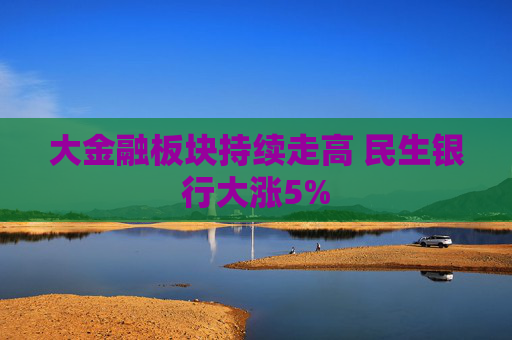 大金融板块持续走高 民生银行大涨5%