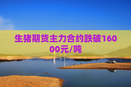 生猪期货主力合约跌破16000元/吨