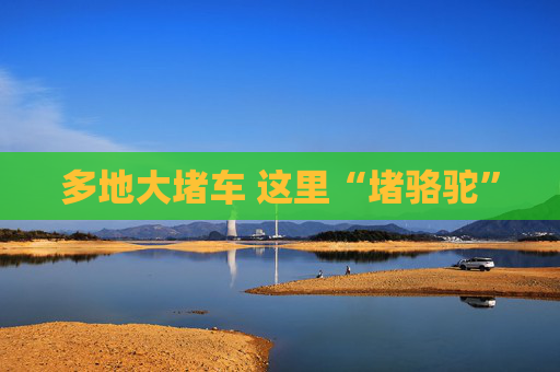 多地大堵车 这里“堵骆驼”
