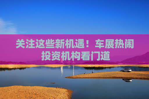 关注这些新机遇！车展热闹 投资机构看门道