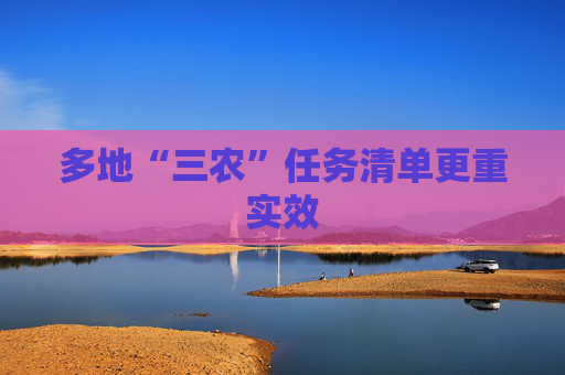 多地“三农”任务清单更重实效