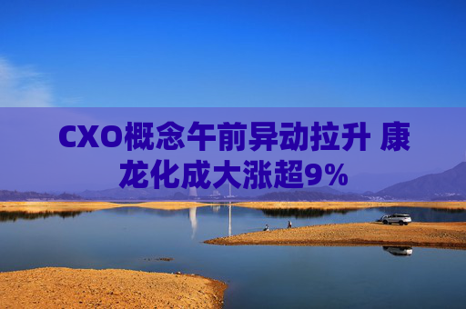 CXO概念午前异动拉升 康龙化成大涨超9%