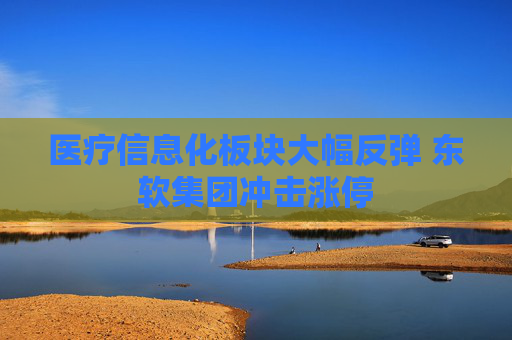 医疗信息化板块大幅反弹 东软集团冲击涨停