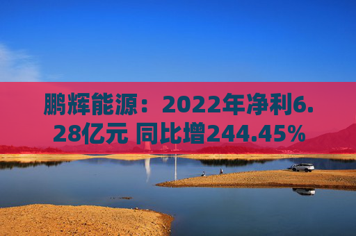 鹏辉能源：2022年净利6.28亿元 同比增244.45%