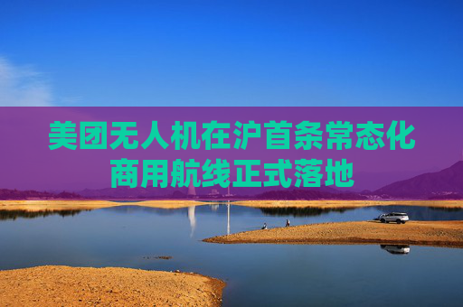 美团无人机在沪首条常态化商用航线正式落地