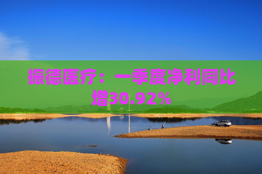 振德医疗：一季度净利同比增30.92%