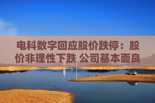 电科数字回应股价跌停：股价非理性下跌 公司基本面良好