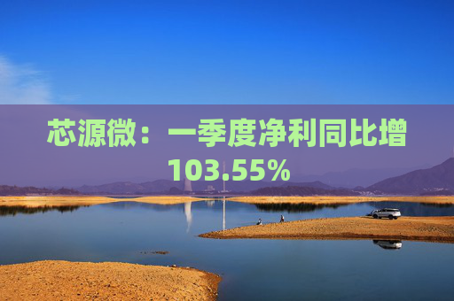芯源微：一季度净利同比增103.55%