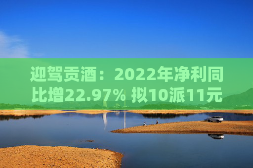迎驾贡酒:2022年净利同比增22.97% 拟10派11元