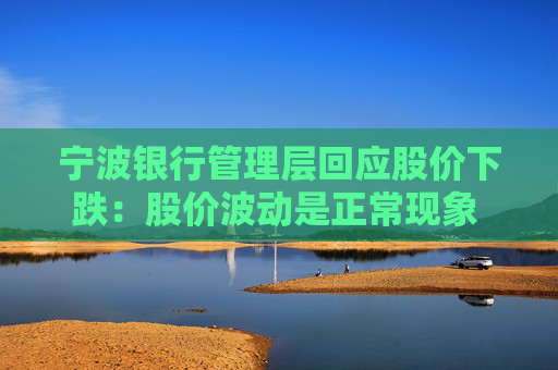 宁波银行管理层回应股价下跌：股价波动是正常现象 经营一切正常