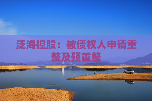 泛海控股：被债权人申请重整及预重整