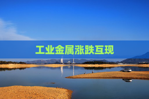 工业金属涨跌互现