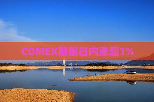 COMEX期银日内涨超1%