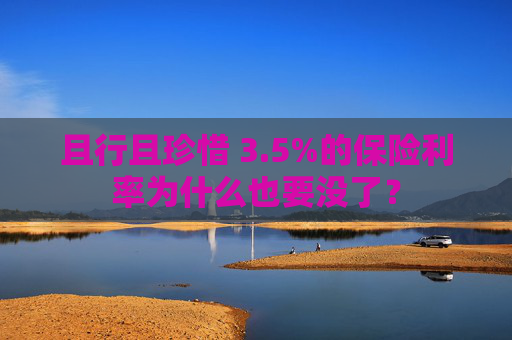 且行且珍惜 3.5%的保险利率为什么也要没了？