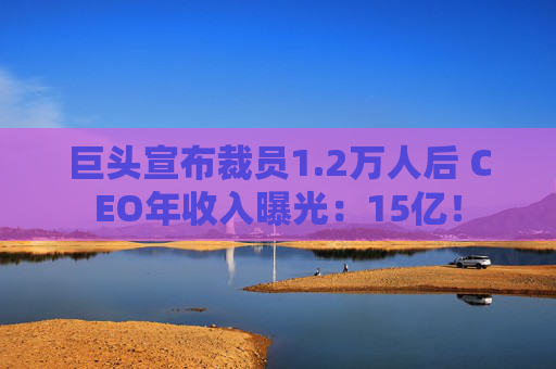 巨头宣布裁员1.2万人后 CEO年收入曝光：15亿！