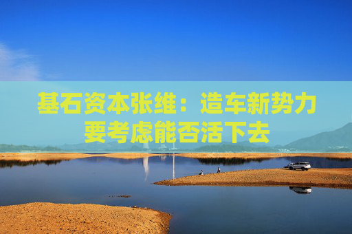 基石资本张维：造车新势力要考虑能否活下去