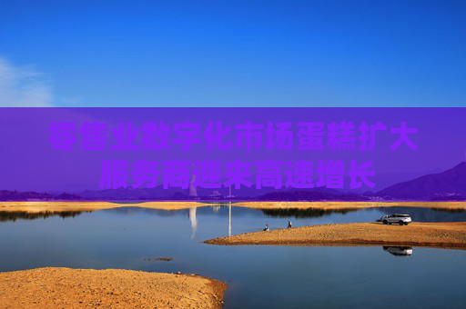 零售业数字化市场蛋糕扩大 服务商迎来高速增长