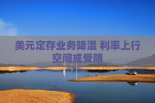 美元定存业务降温 利率上行空间或受限