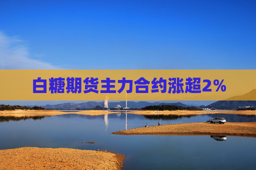 白糖期货主力合约涨超2%