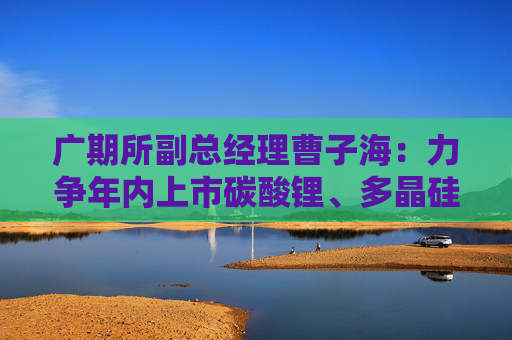 广期所副总经理曹子海：力争年内上市碳酸锂、多晶硅期货