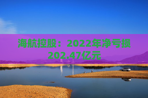 海航控股：2022年净亏损202.47亿元
