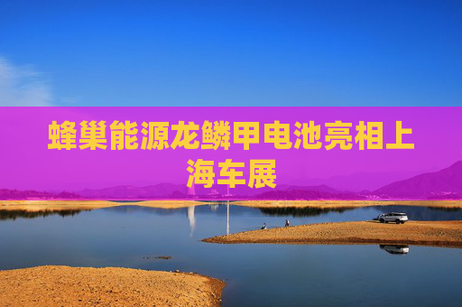 蜂巢能源龙鳞甲电池亮相上海车展