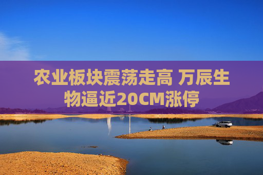 农业板块震荡走高 万辰生物逼近20CM涨停