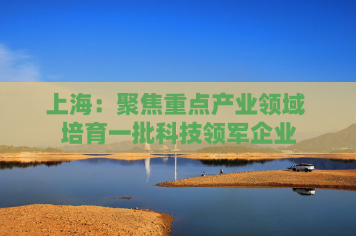 上海：聚焦重点产业领域 培育一批科技领军企业