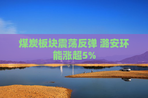煤炭板块震荡反弹 潞安环能涨超5%
