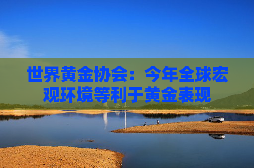 世界黄金协会：今年全球宏观环境等利于黄金表现