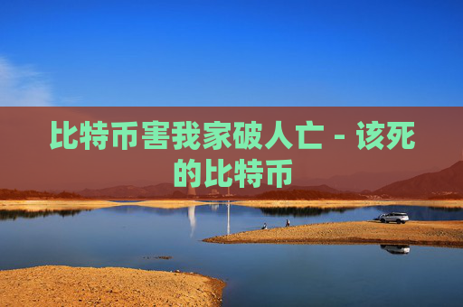 比特币害我家破人亡 - 该死的比特币